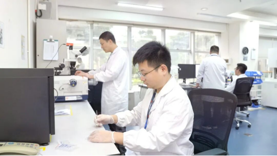 【黨建引領】凝心聚力沖刺收官，風華高科以高質量黨建引領高質量發(fā)展