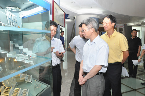 廣東省國資委副主任趙瑞云調(diào)研風(fēng)華